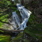 Silver Spray Falls