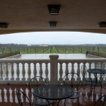 Long Island vineyards Long Island vineyards