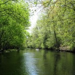 Canoeing the New Jersey Pine Barrens