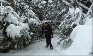 Slogging up Mt. Mansfield